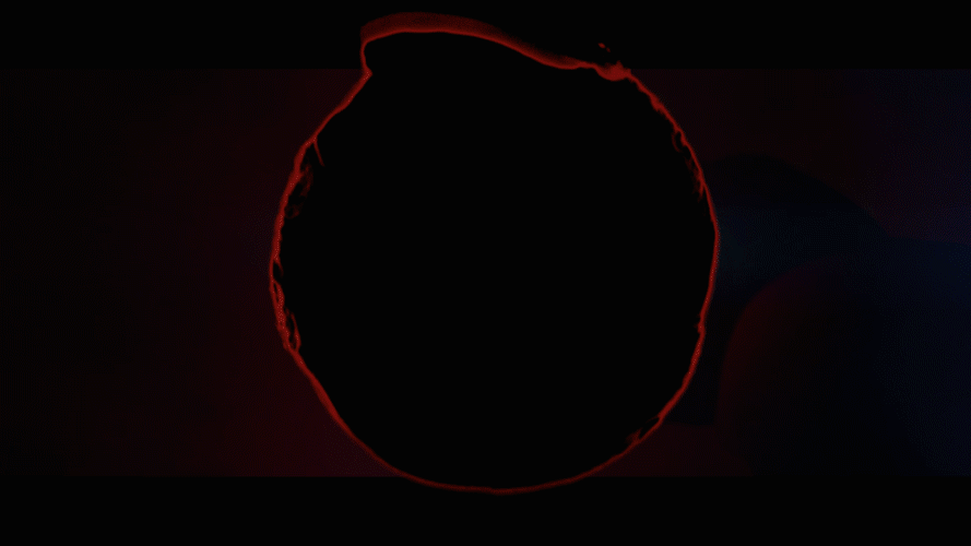 2441d3c1ce8e4d7f9ff1eb755b37cc21.gif